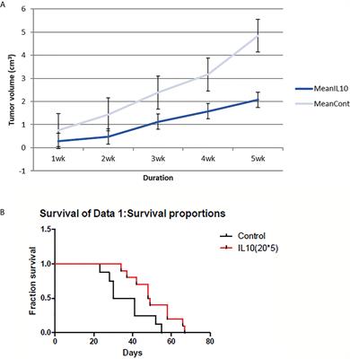 The Central THαβ Immunity Associated Cytokine: IL-10 Has a Strong Anti-Tumor Ability Toward Established Cancer Models In Vivo and Toward Cancer Cells In Vitro